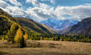 Altai autumn / ***