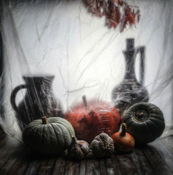 &nbsp; / ***