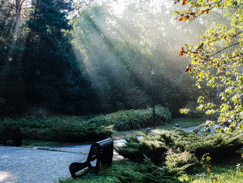 in the park / ***