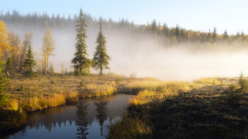On the lake / ***