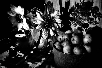 Life around / ***