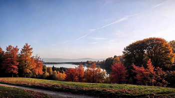 Autumn / ***