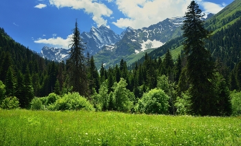 Summer in the mountains / ***