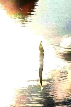 Life around / ***