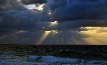 Light / ***