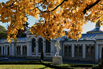 gold autumn / ***