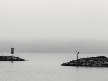Autumn minimalism / .....