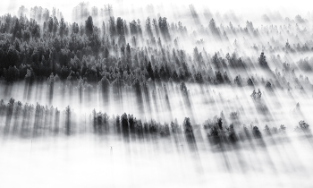 With the first rays / ***