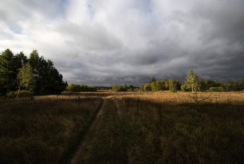 the play of light and shadow / ***