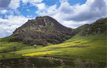 Caucasus / ***