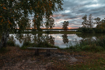 Autumn / ***