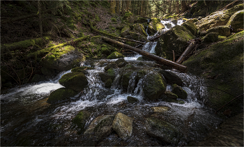 Mountain stream / ***