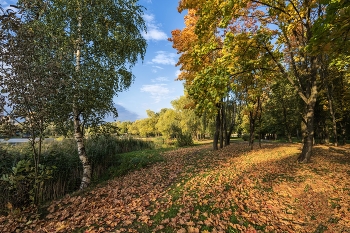 Autumn / ***