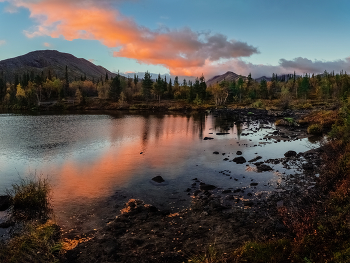 At dawn / ***