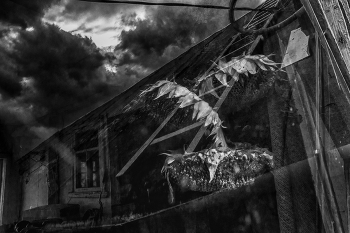 Life around / ***