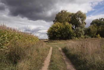 The September landscape / ***