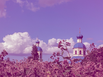 Magenta cityscape / Strange magenta artifact