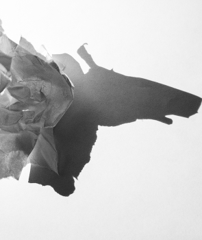 Paper &amp; light / Paper &amp; light