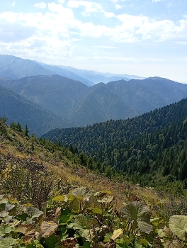 Mountain Landscape / Beautiful mountain landscape with green forests, valleys and clouds.