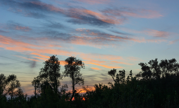&nbsp; / ***
