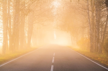 &nbsp; / ***