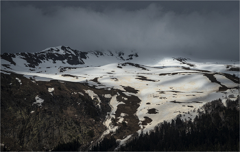 Caucasus / ***