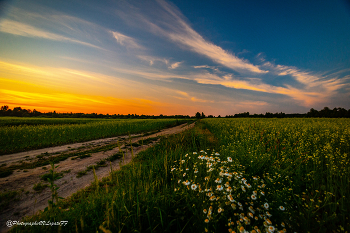 Dusk / ***