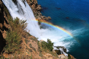 Rainbow / ***