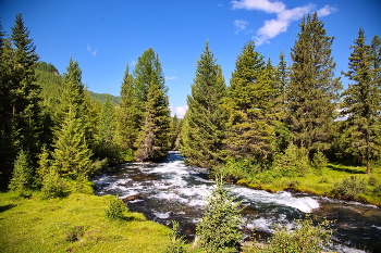 Altai Mountains / ***