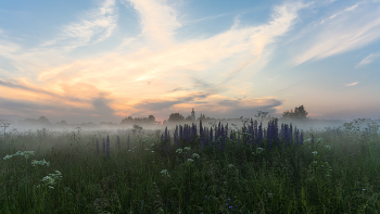 Misty evening / ***