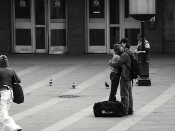 ***Love and pigeons / ...