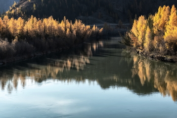 Autumn colors / ***
