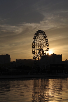 Wheel / ***