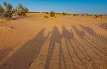 Caravan / ***