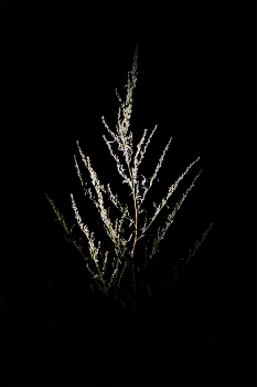 Life around / ***
