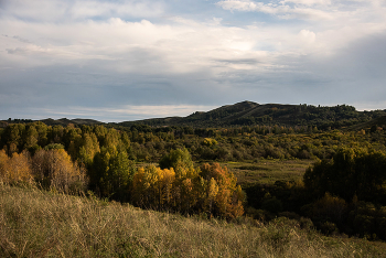 autumn motive / ***