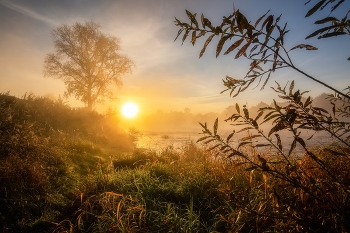 Fog dissipates / ***