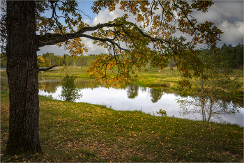Autumn / ***
