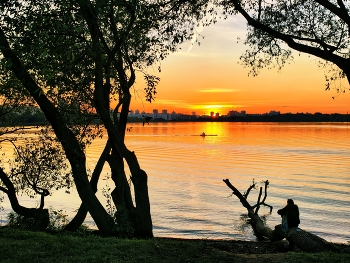 Peace and quiet / ***