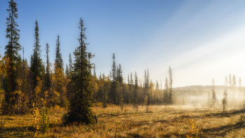 Bright morning / ***