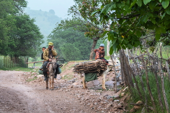 Life in the mountains / ***