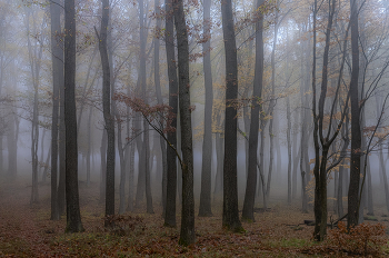 Warm October / ***