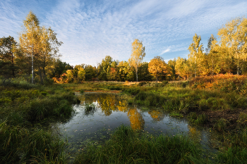 Autumn / ***