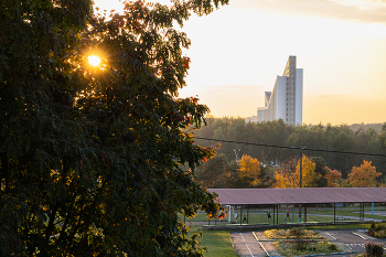 Autumn sun / ***