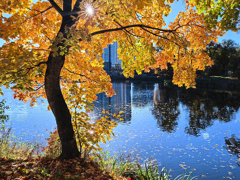 Autumn light ... / ***