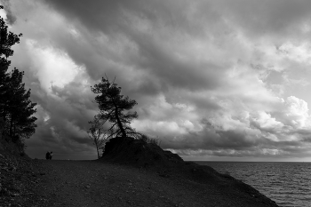 about the sea / ***
