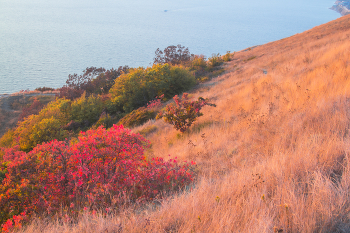 On the mountain tops / ***