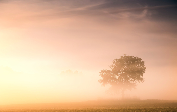 The minimalism of dawn / ***