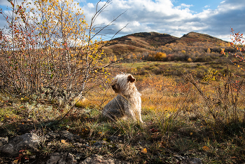 Autumn colors / ***