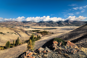 Altai Mountains / ***